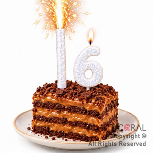 SET BENGALA Y VELA NUMERAL NUMERO 6 CON GIBRE BLANCO